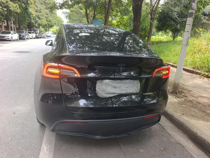 Model Y 2023 RWD photo 3