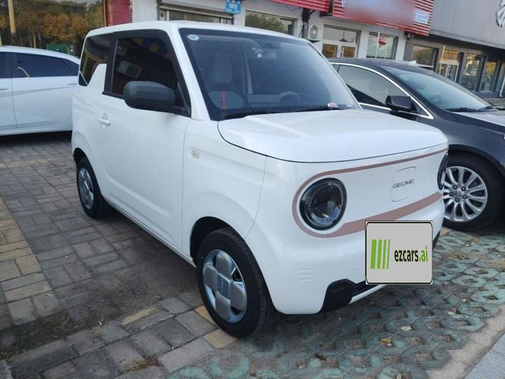 2024 Panda mini 200km Endurance Bear photo 3