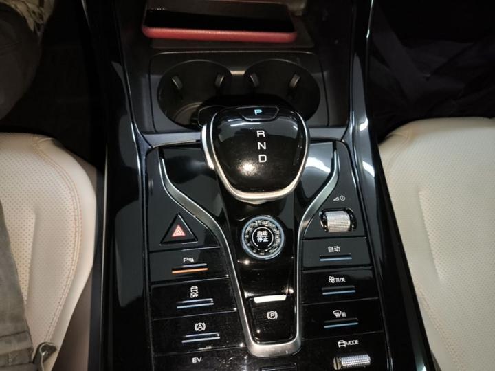 Qin PLUS 2024 Honor DM-i 55KM Leading photo 5