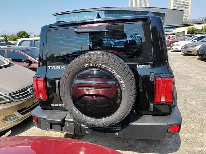 300 2023 Off-road 2.0T photo 3
