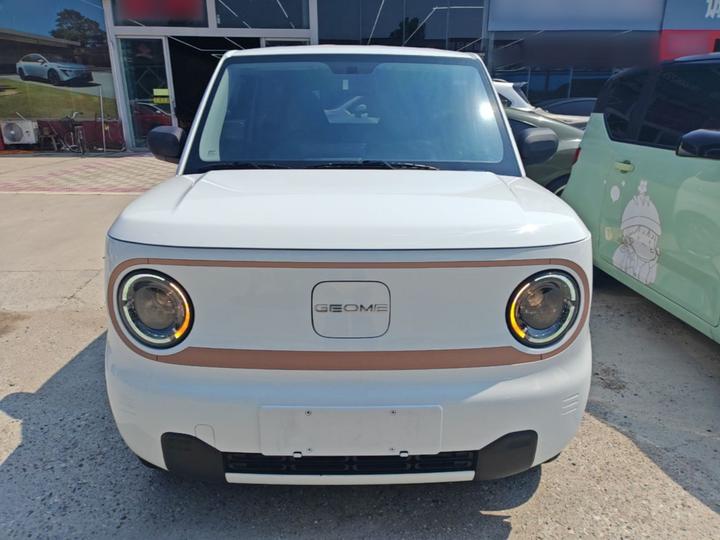 2024 Panda mini 200km Endurance Bear photo 2
