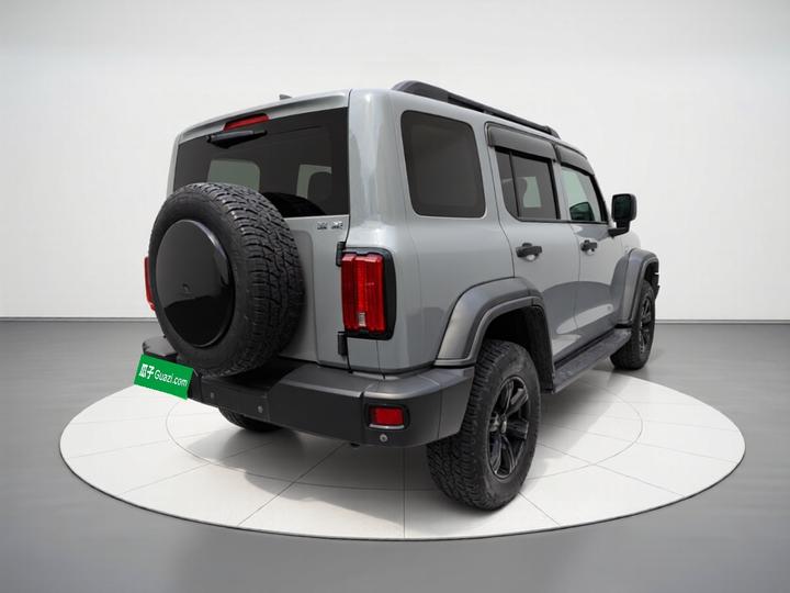 300 2021 Off-road 2.0T Conqueror photo 6