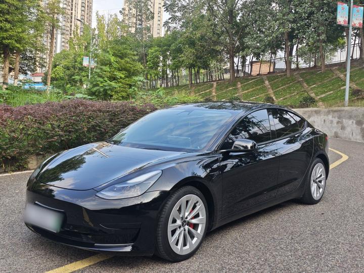 Model 3 2021 Standard Range RWD Upgraded 3D6