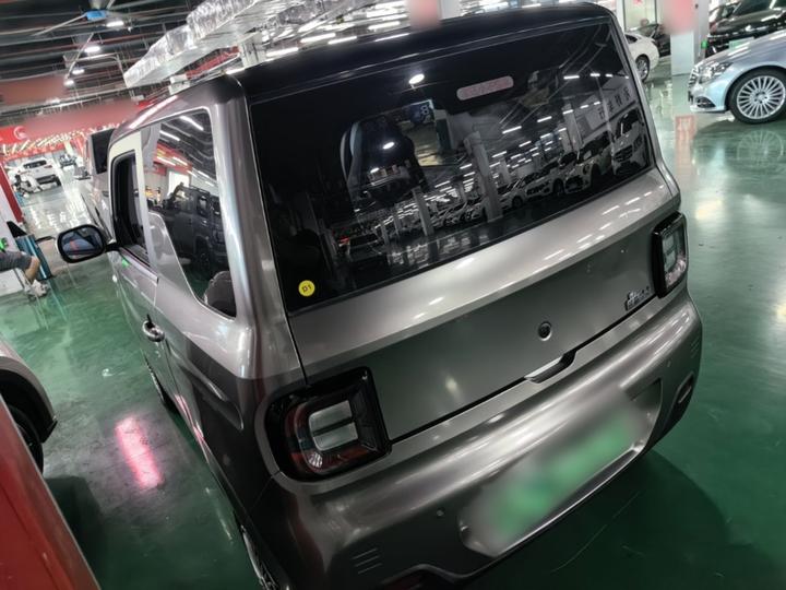 2023 Panda mini 200km Endurance Bear photo 4