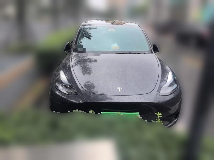 Model Y 2024 RWD photo 2