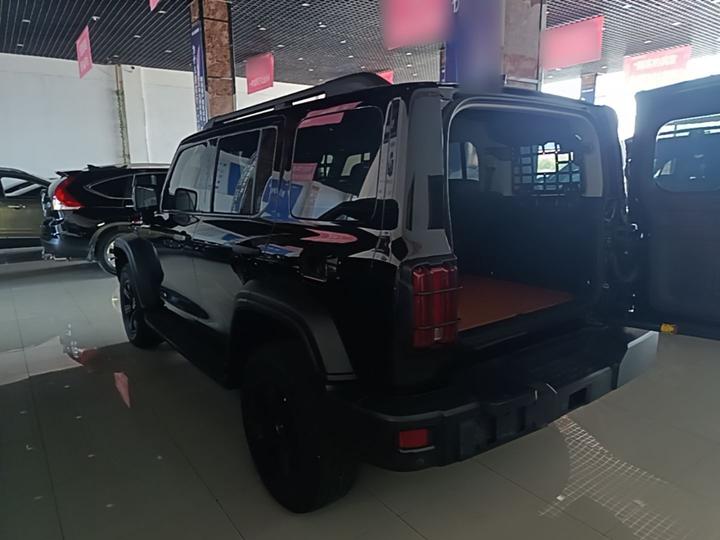 300 2021 Off-road 2.0T Conqueror photo 4