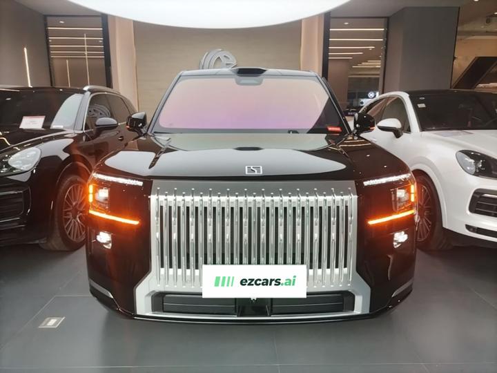 9X 2025 Max 55kWh 6-Seater photo 2