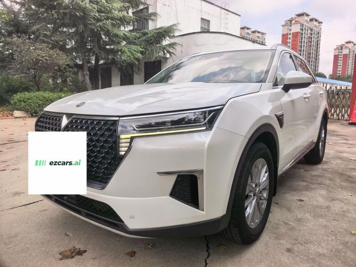 2020 260T AT 48V Mild Hybrid