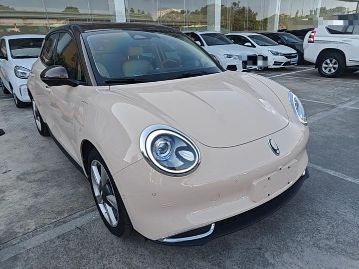 Good Cat 2021 400km Standard Range LFP photo 3