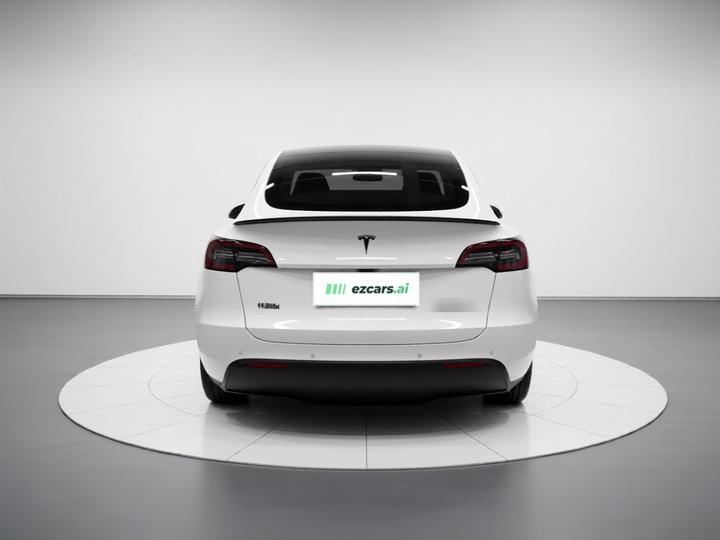 Model Y 2022 Performance AWD photo 3