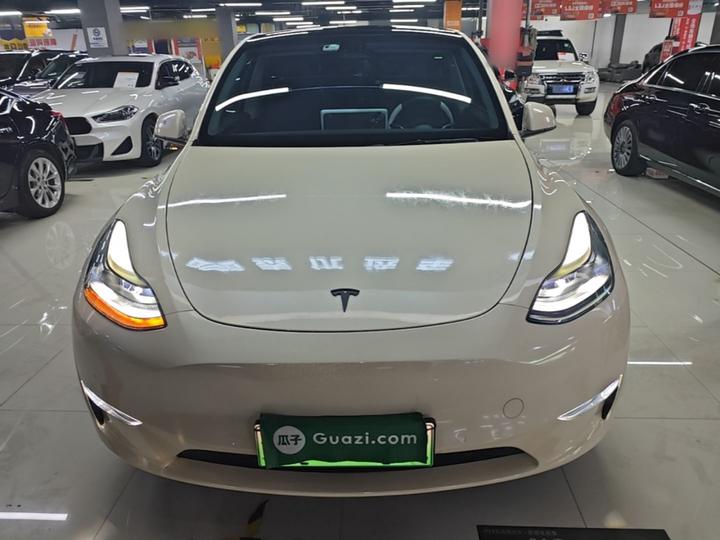Model Y 2021 Long Range AWD photo 2