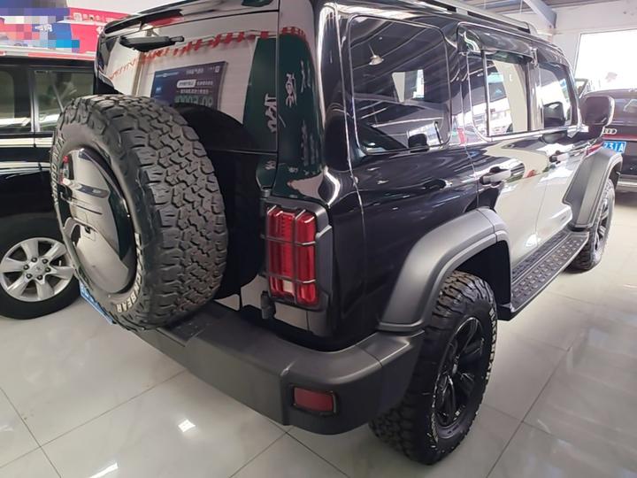 300 2023 Off-road 2.0T Conqueror photo 6