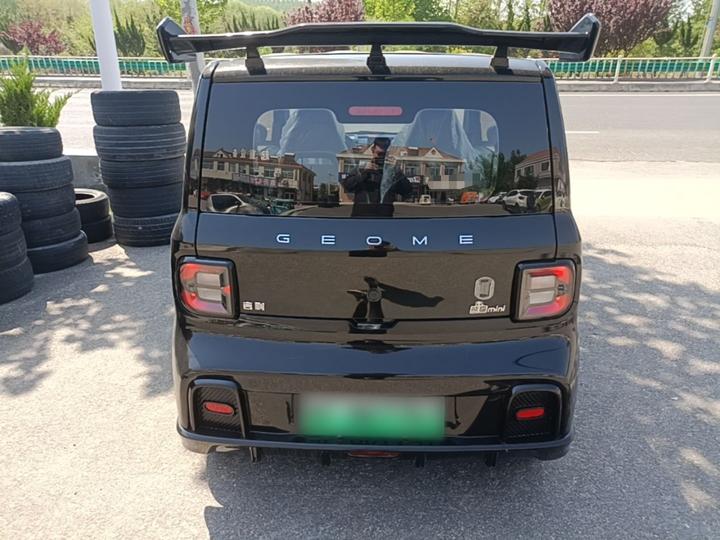2025 210km Panda photo 3