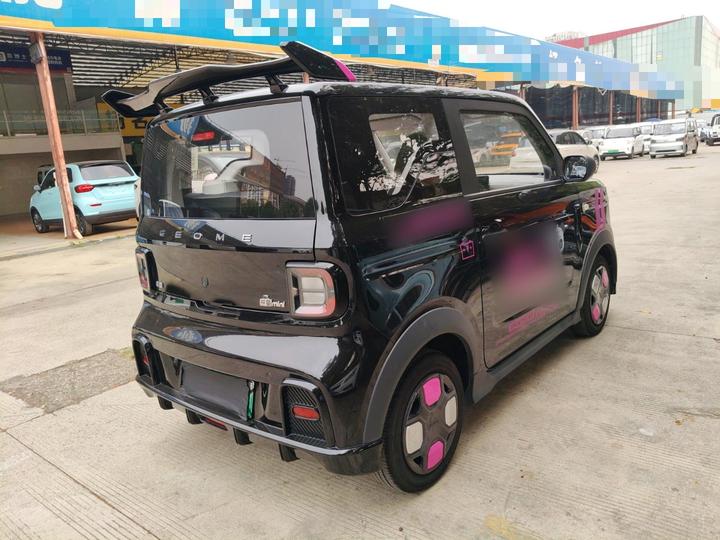2024 200km Panda photo 4