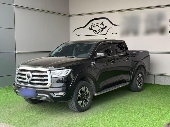2021 2.0T AT Petrol AWD Comfort GW4C20B