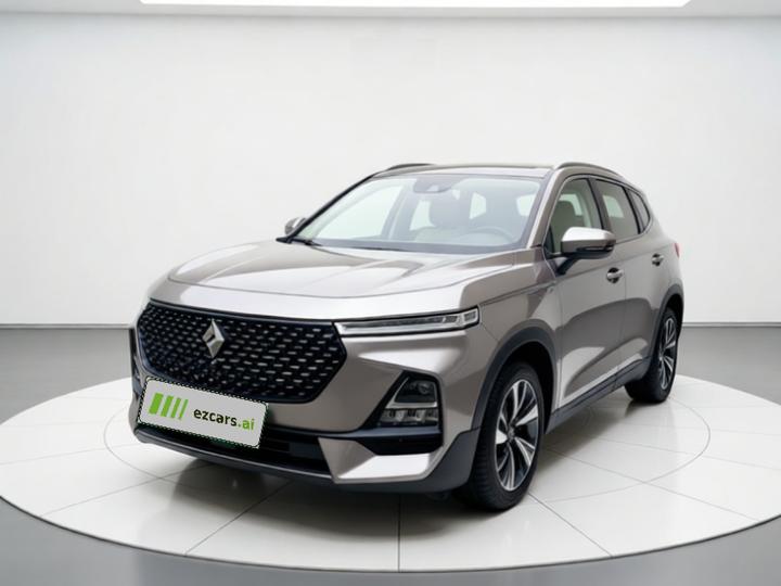 RS-5 2019 1.5T CVT Smart Flagship China V