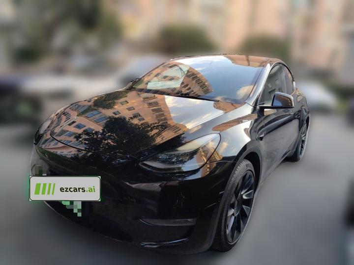 Model Y 2021 Standard Range RWD