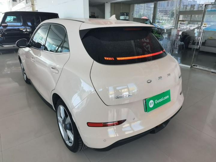 Good Cat 2021 400km Standard Range LFP photo 4