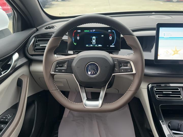 Qin PLUS 2024 Honor DM-i 55KM Leading photo 6