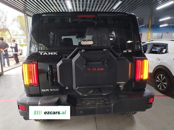 300 2021 Off-road 2.0T Conqueror photo 3