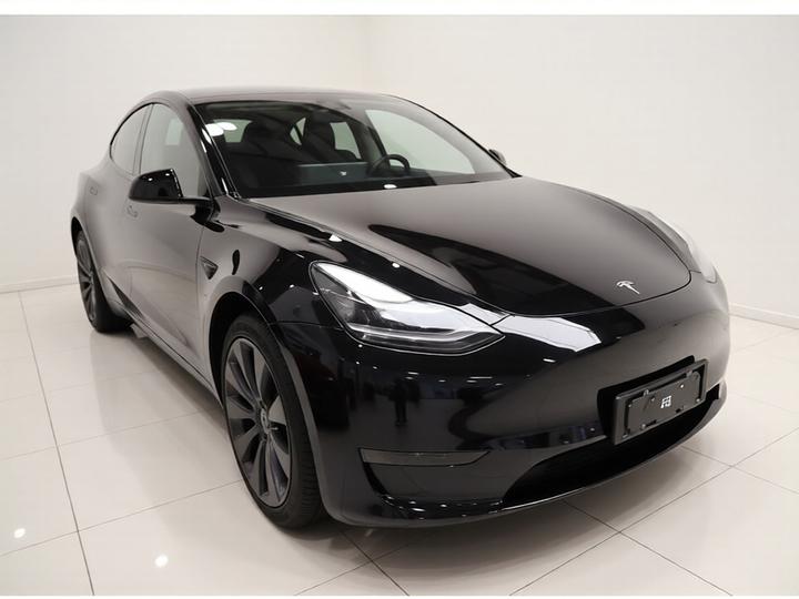 Model Y 2021 Performance AWD photo 3