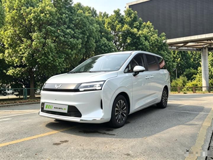 730 EV 2025 EV 500km Luxury