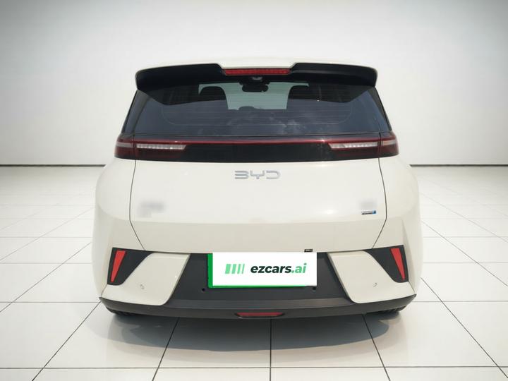 Seagull 2025 ADAS 305km photo 5