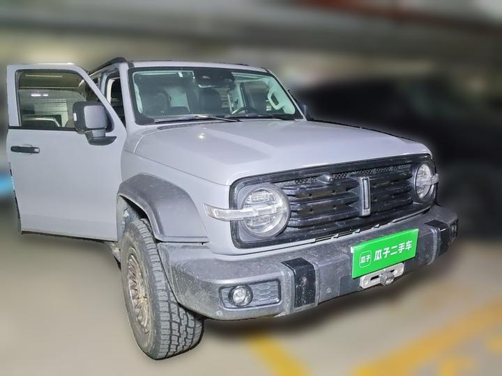 300 2021 Off-road 2.0T Conqueror photo 3