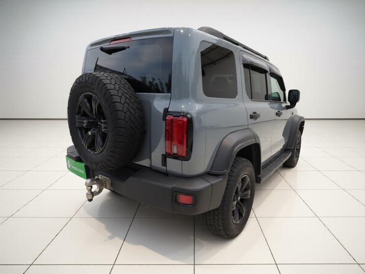300 2021 Off-road 2.0T Conqueror photo 6