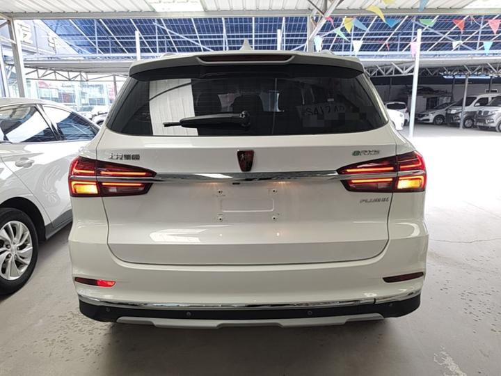 RX5 EV 2019 eRX5 50T Flagship photo 3
