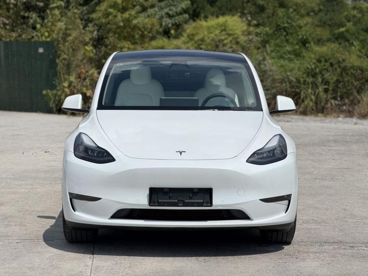 Model Y 2023 Long Range AWD photo 2