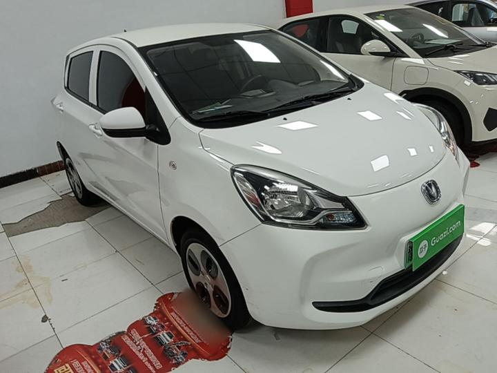 Benni E-Star 2021 LFP 31.86kWh photo 3