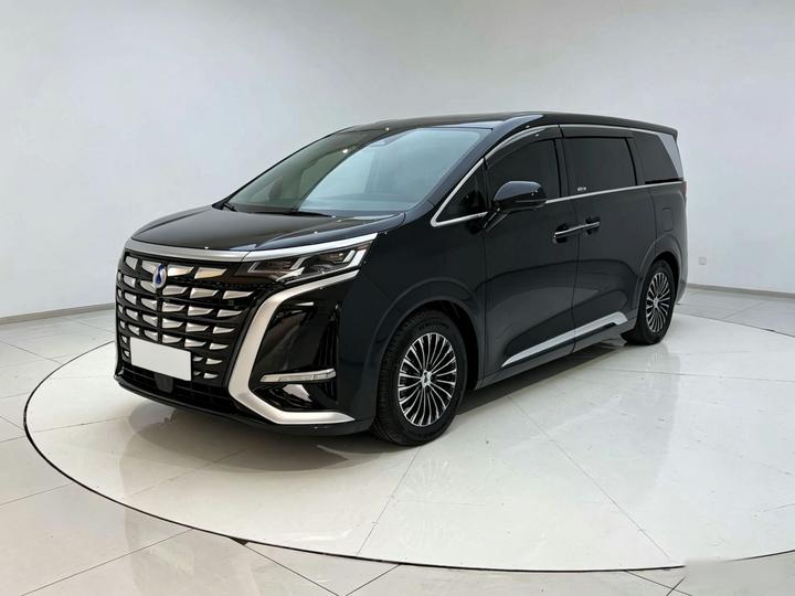 D9 2024 DM-i 980 AWD Noble photo 7