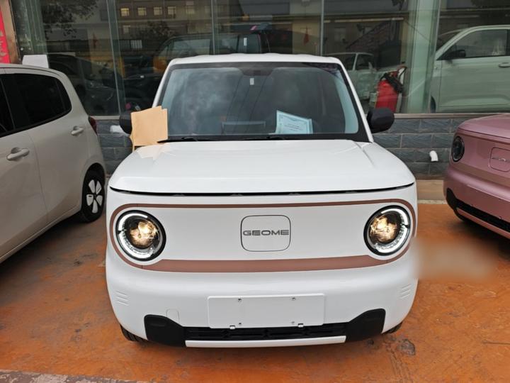 2024 Panda mini 200km Endurance Bear photo 2