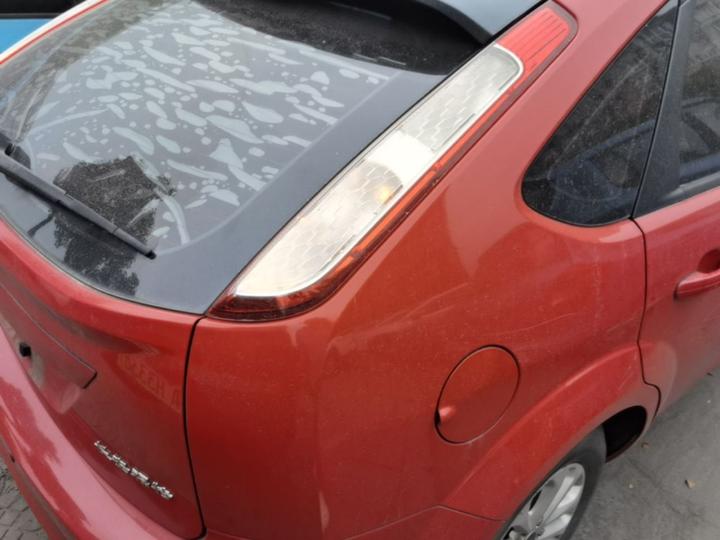 Focus 2013 Hatchback Classic 1.8L AT photo 7