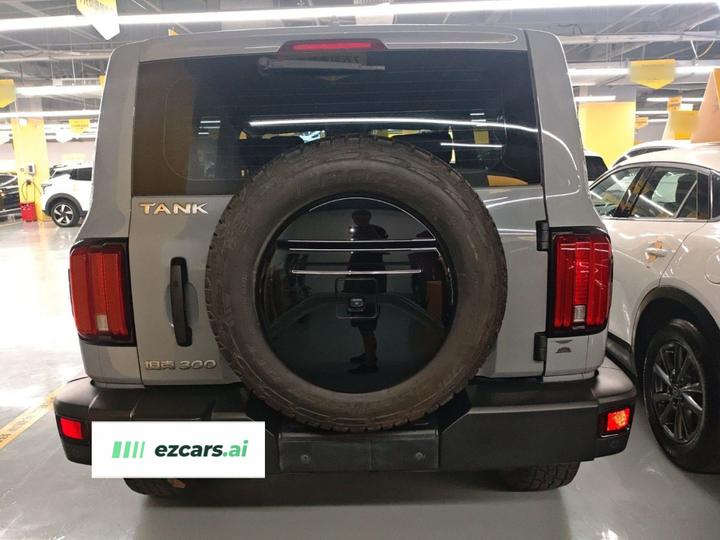 300 2021 Off-road 2.0T Conqueror photo 3