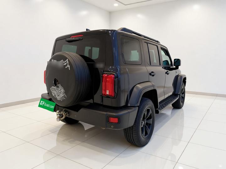 300 2021 Off-road 2.0T photo 6