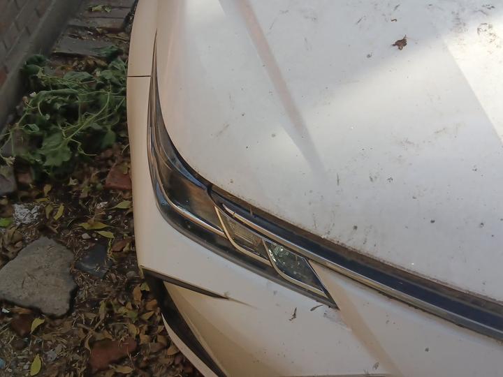 Corolla 2021 Hybrid 1.8L E-CVT photo 7