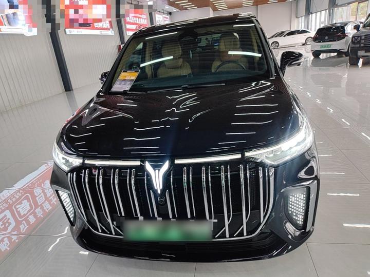 Voyah Dreamer 2024 PHEV Extended Range Flagship photo 2