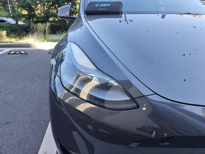 Model Y 2024 RWD photo 7