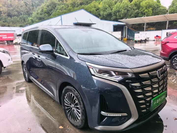 D9 2022 DM-i 970 AWD Noble photo 3
