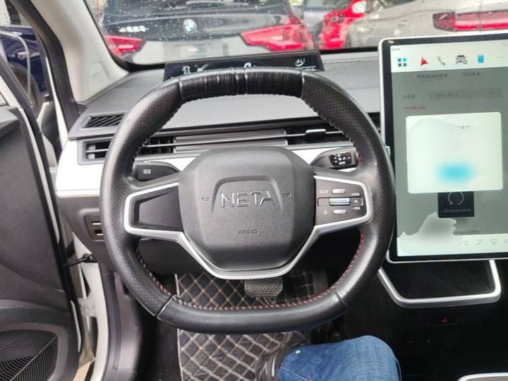 Neta V 2022 300 Lite LFP photo 6