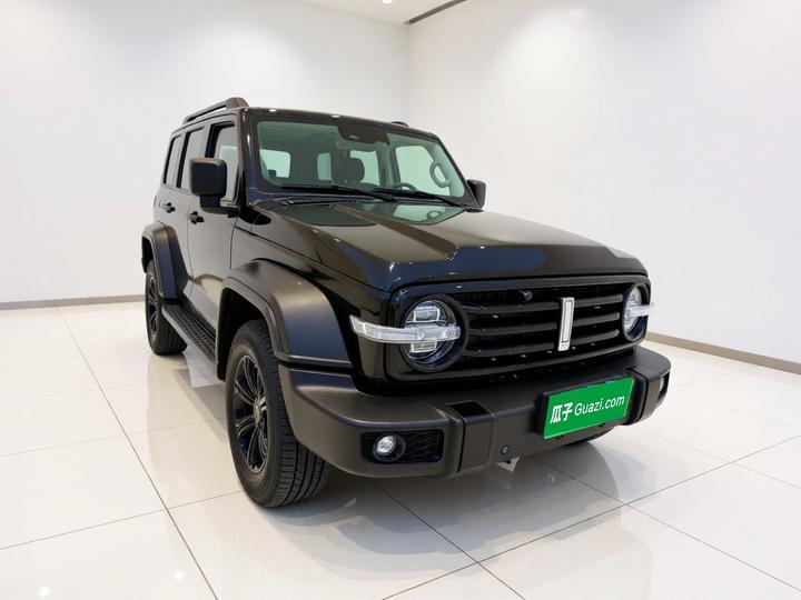 300 2021 Off-road 2.0T photo 3