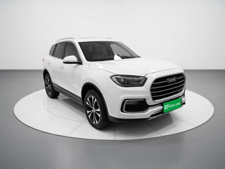 Yema T80 2017 1.5T MT photo 3