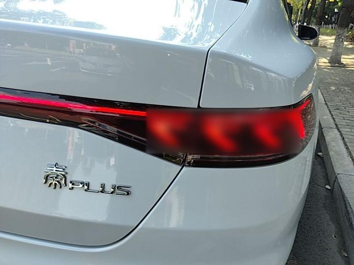 Qin PLUS 2024 Honor DM-i 55KM Leading photo 7