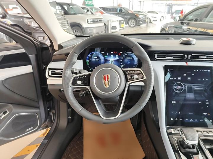 H5 PHEV 2025 170 photo 6