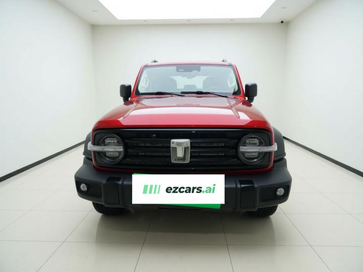 300 2021 Off-road 2.0T Conqueror photo 2