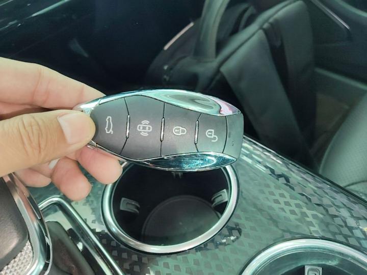 HS3 PHEV 2024 115km photo 8