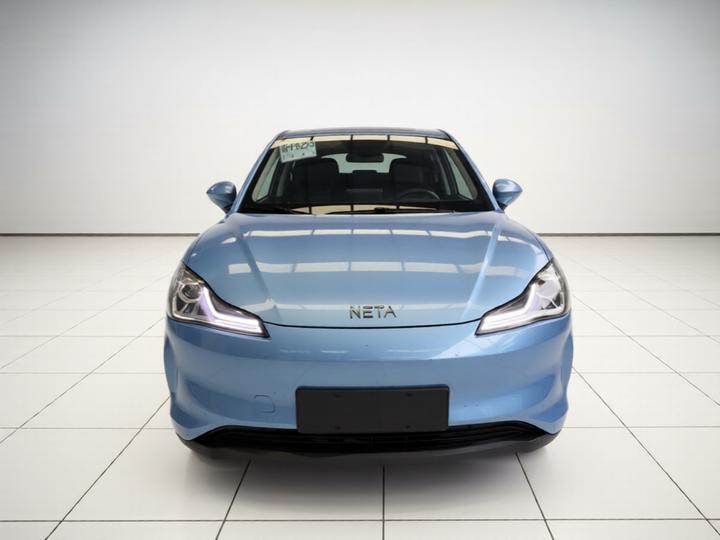 Neta V 2022 300 Lite LFP photo 2