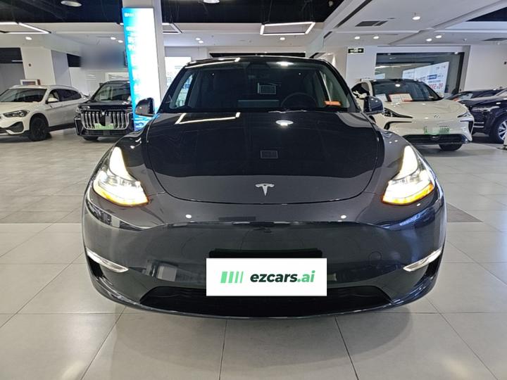 Model Y 2024 Long Range AWD photo 2